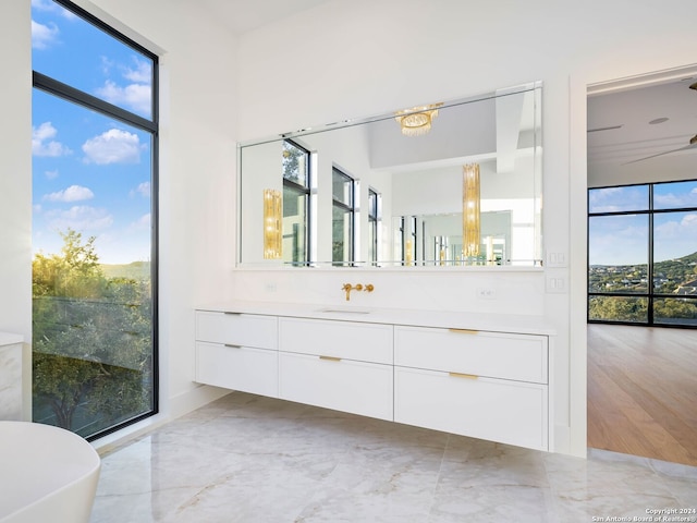 bathroom with a bathtub, vanity, and a healthy amount of sunlight