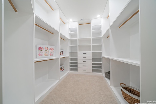 spacious closet with light colored carpet