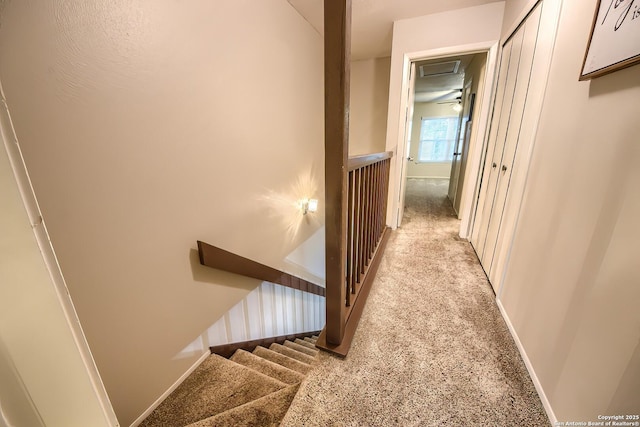 stairway featuring carpet