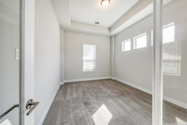 spare room featuring plenty of natural light, a raised ceiling, and light carpet