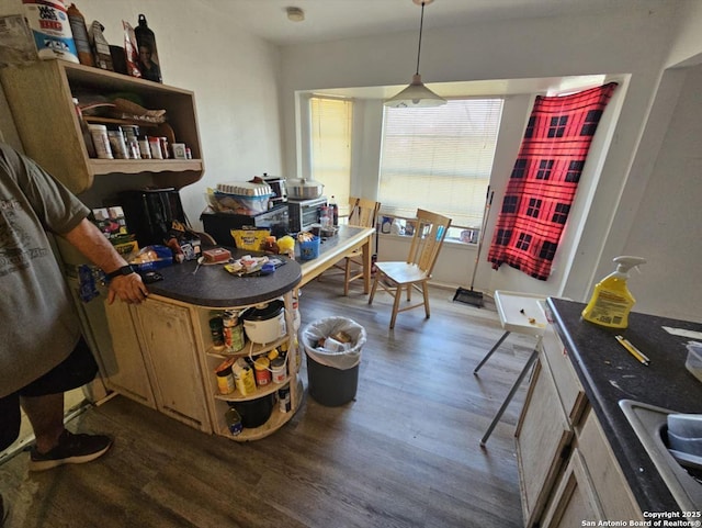 dining room featuring dark hardwood / wood-style flooring and sink