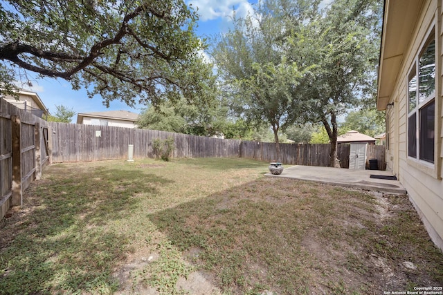 view of yard with a patio and a shed