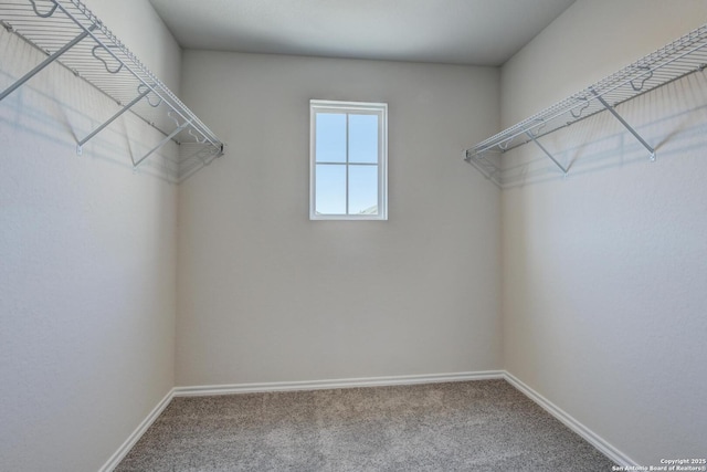 spacious closet with carpet