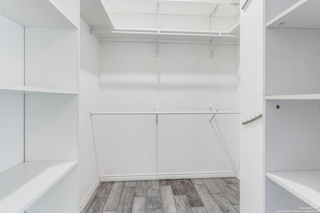 walk in closet featuring light hardwood / wood-style flooring