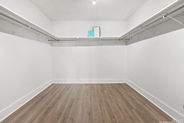 walk in closet with hardwood / wood-style floors