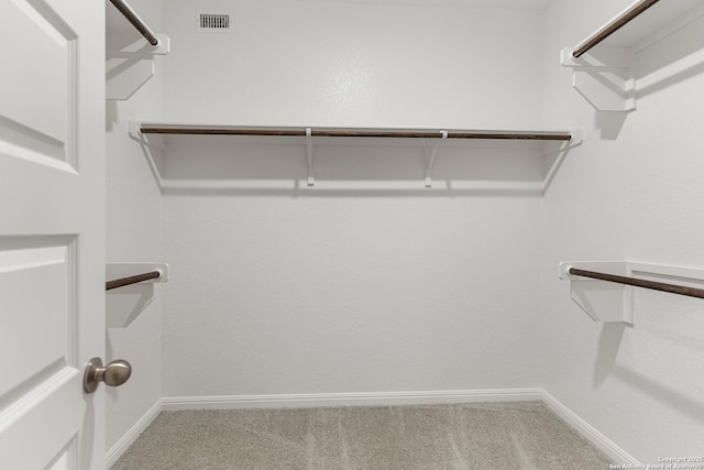 spacious closet featuring carpet floors