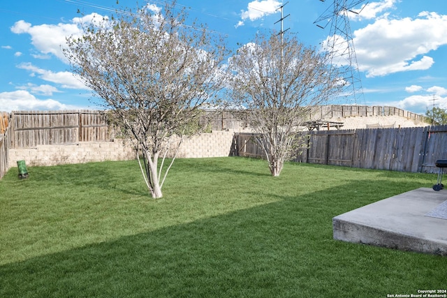 view of yard featuring a patio