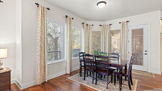 dining room featuring plenty of natural light and dark wood-type flooring