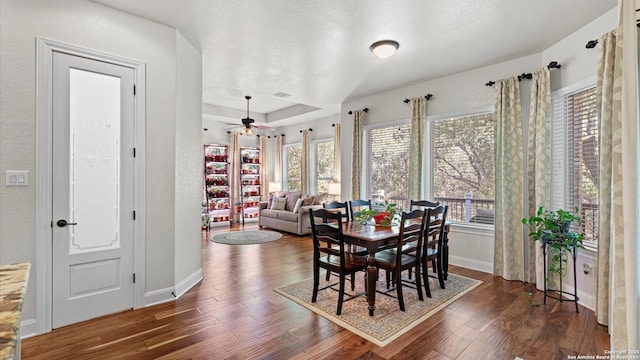 dining area with a raised ceiling, a wealth of natural light, ceiling fan, and dark hardwood / wood-style floors