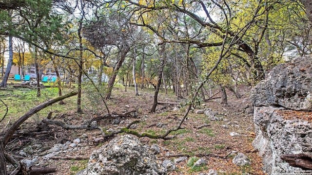 view of local wilderness