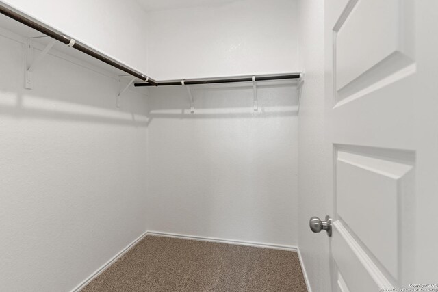 spacious closet featuring carpet floors