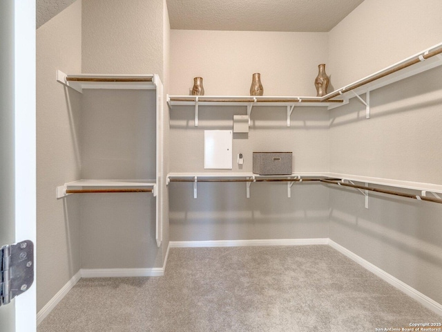 walk in closet with light carpet