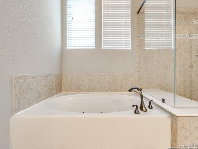 bathroom featuring a bathtub