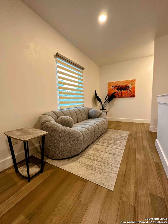 living room with wood-type flooring