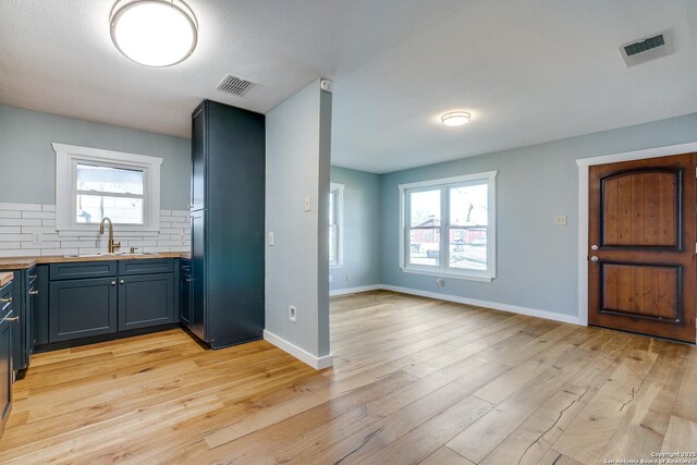 kitchen featuring tasteful backsplash, a wealth of natural light, sink, and light hardwood / wood-style floors