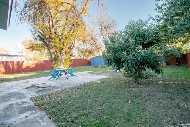 view of yard featuring a patio area and a storage shed