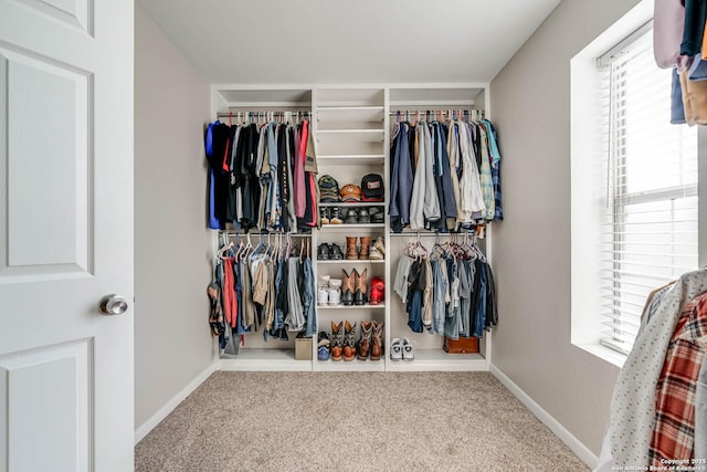 spacious closet featuring carpet floors