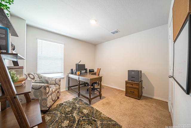 view of carpeted office