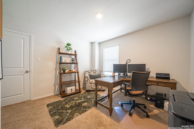 home office with carpet flooring