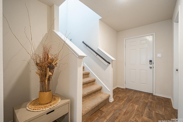 entrance foyer with dark wood-type flooring