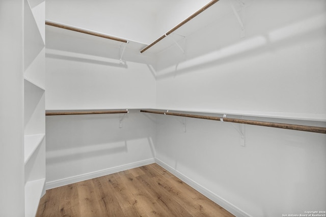 spacious closet featuring wood-type flooring