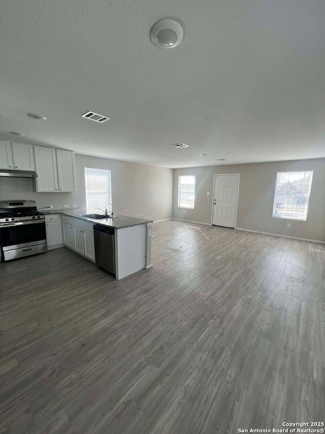 kitchen featuring hardwood / wood-style flooring, sink, a healthy amount of sunlight, and appliances with stainless steel finishes