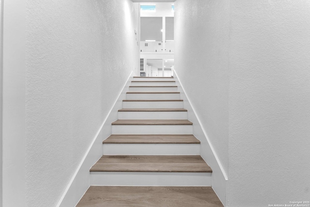 stairway with hardwood / wood-style floors