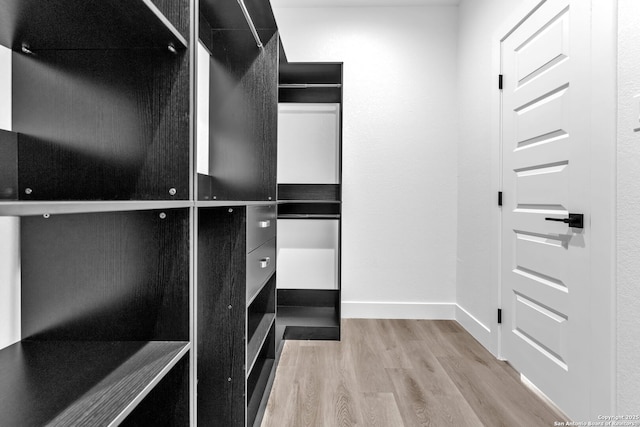 spacious closet with hardwood / wood-style flooring