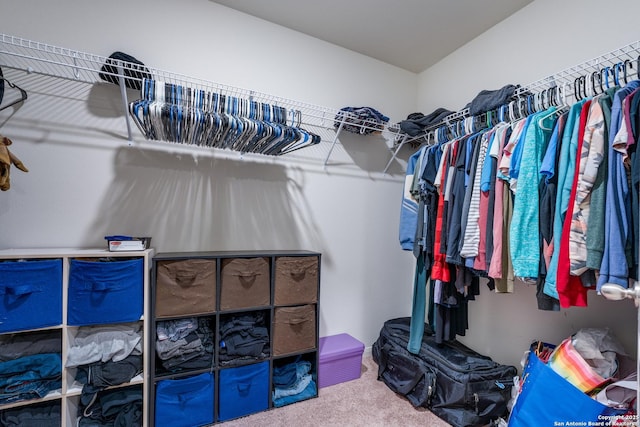 spacious closet featuring carpet flooring