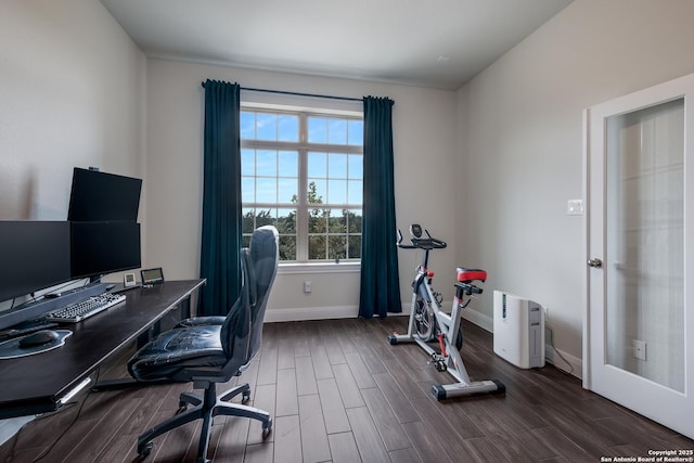 office featuring dark hardwood / wood-style flooring