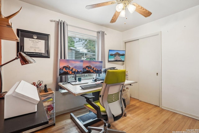 office featuring ceiling fan and light wood-type flooring