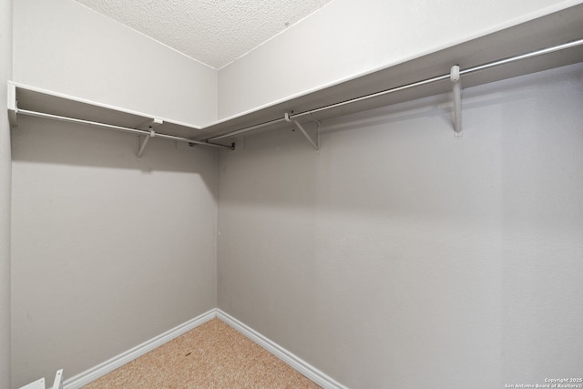 spacious closet featuring carpet