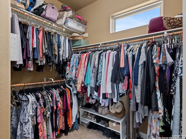 walk in closet with carpet flooring