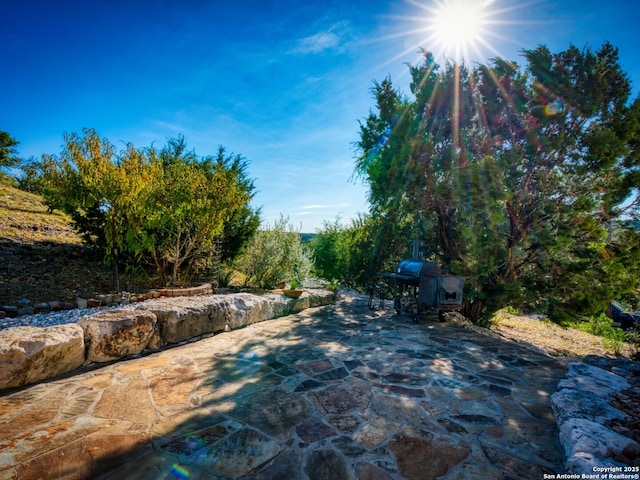 view of swimming pool with a patio area