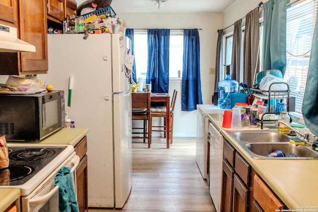 kitchen with a healthy amount of sunlight, white appliances, sink, and exhaust hood