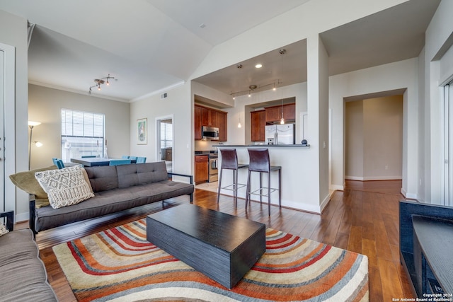 living room featuring dark wood-type flooring, track lighting, and crown molding