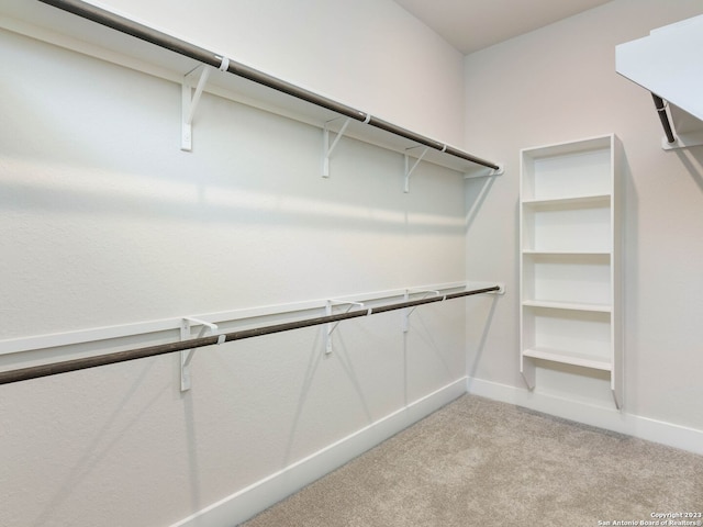 spacious closet with light carpet