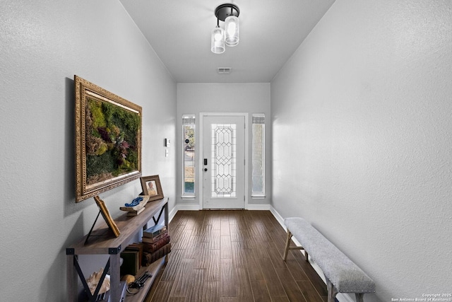 entrance foyer featuring dark wood-type flooring