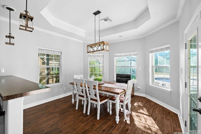 dining space with a raised ceiling and ornamental molding