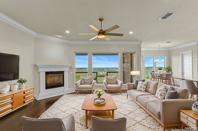 living room featuring hardwood / wood-style flooring, ceiling fan, ornamental molding, and a textured ceiling