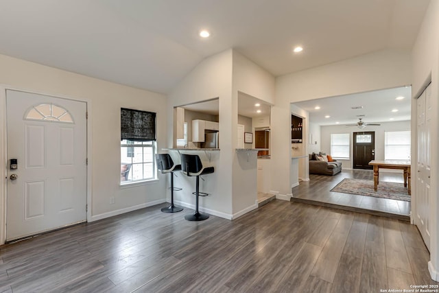 foyer entrance with a wealth of natural light, dark hardwood / wood-style floors, and ceiling fan