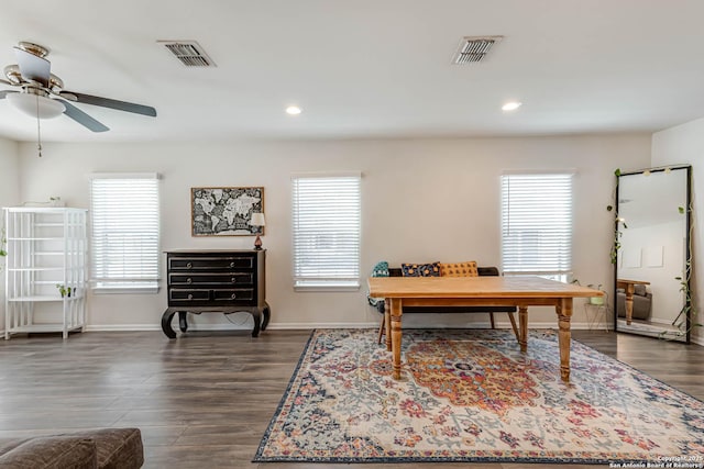 office space featuring ceiling fan, plenty of natural light, and dark hardwood / wood-style floors