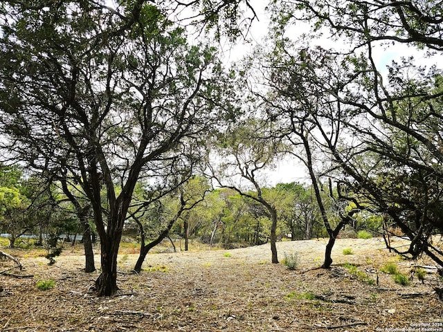 30806 Bulverde Hills Dr, Bulverde, TX 78163