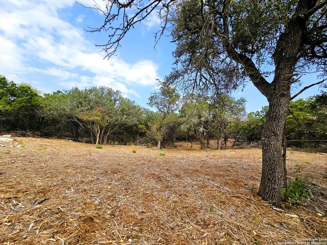 30806 Bulverde Hills Dr, Bulverde, TX 78163