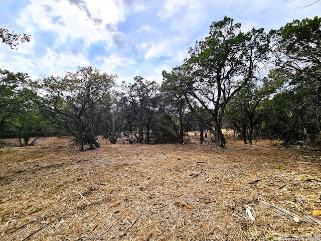 30806 Bulverde Hills Dr, Bulverde, TX 78163