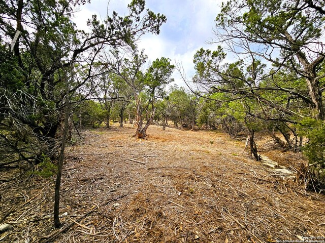 30806 Bulverde Hills Dr, Bulverde, TX 78163