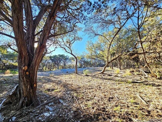 30806 Bulverde Hills Dr, Bulverde, TX 78163