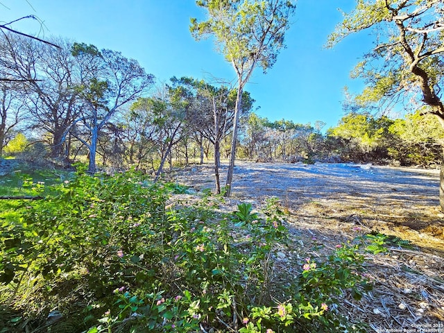 30806 Bulverde Hills Dr, Bulverde, TX 78163
