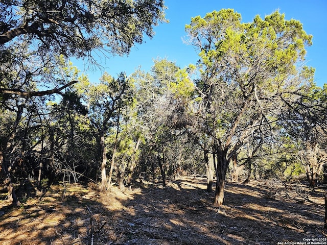 30806 Bulverde Hills Dr, Bulverde, TX 78163