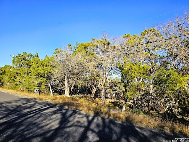 30806 Bulverde Hills Dr, Bulverde, TX 78163